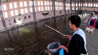 釣魚渣渣慧戶外直播_釣魚渣渣慧視頻直播 - 虎牙直播