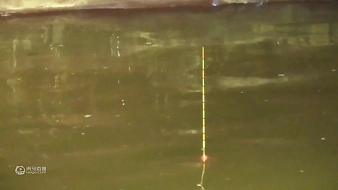 釣魚渣渣慧戶外直播_釣魚渣渣慧視頻直播 - 虎牙直播