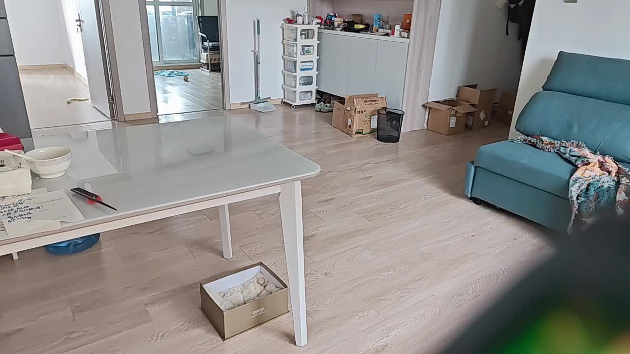 回家七天，放个监控在这看猫