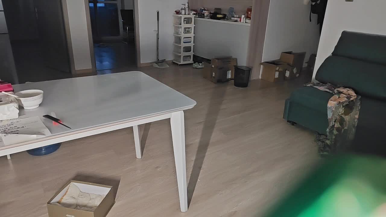 回家七天，放个监控在这看猫