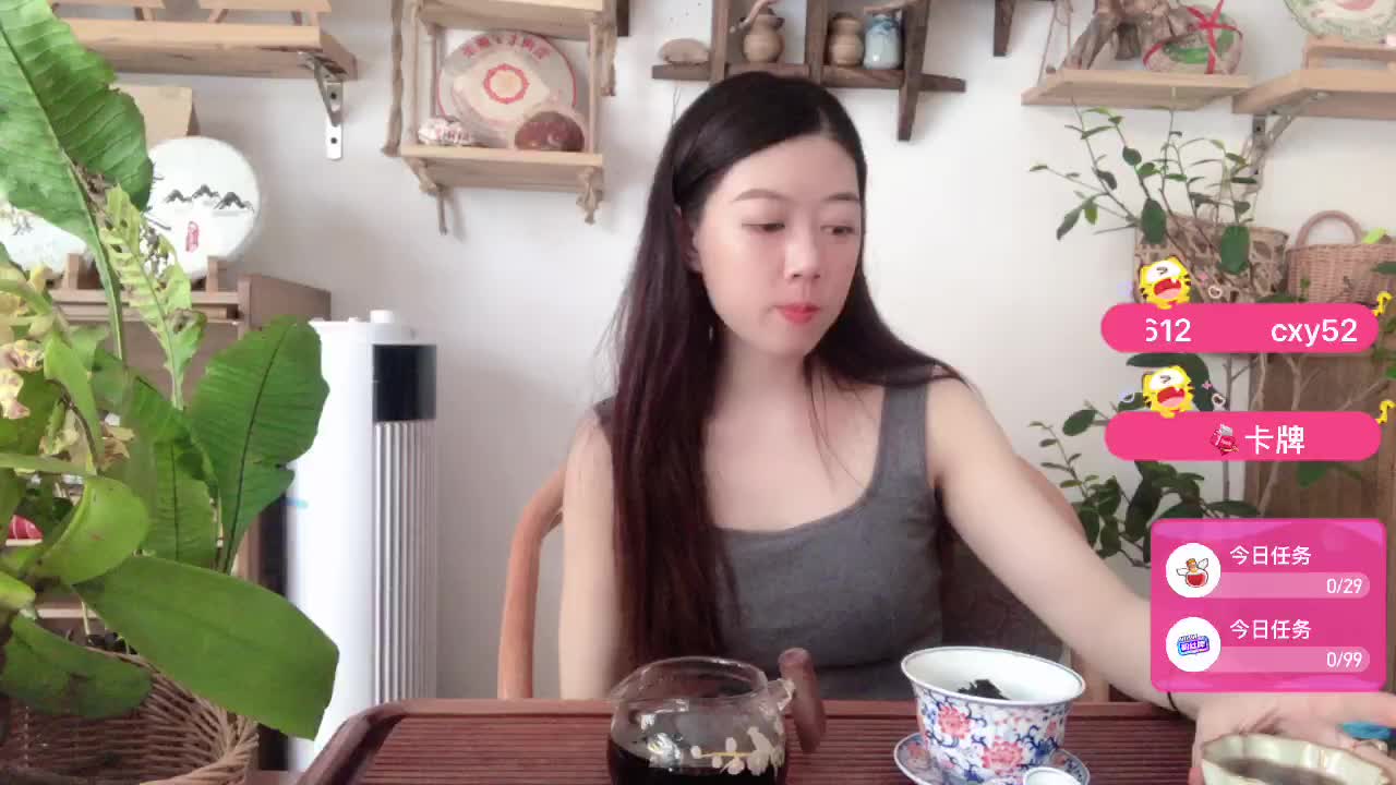 西双版纳普洱茶