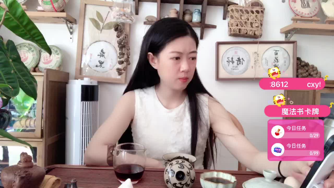 西双版纳普洱茶