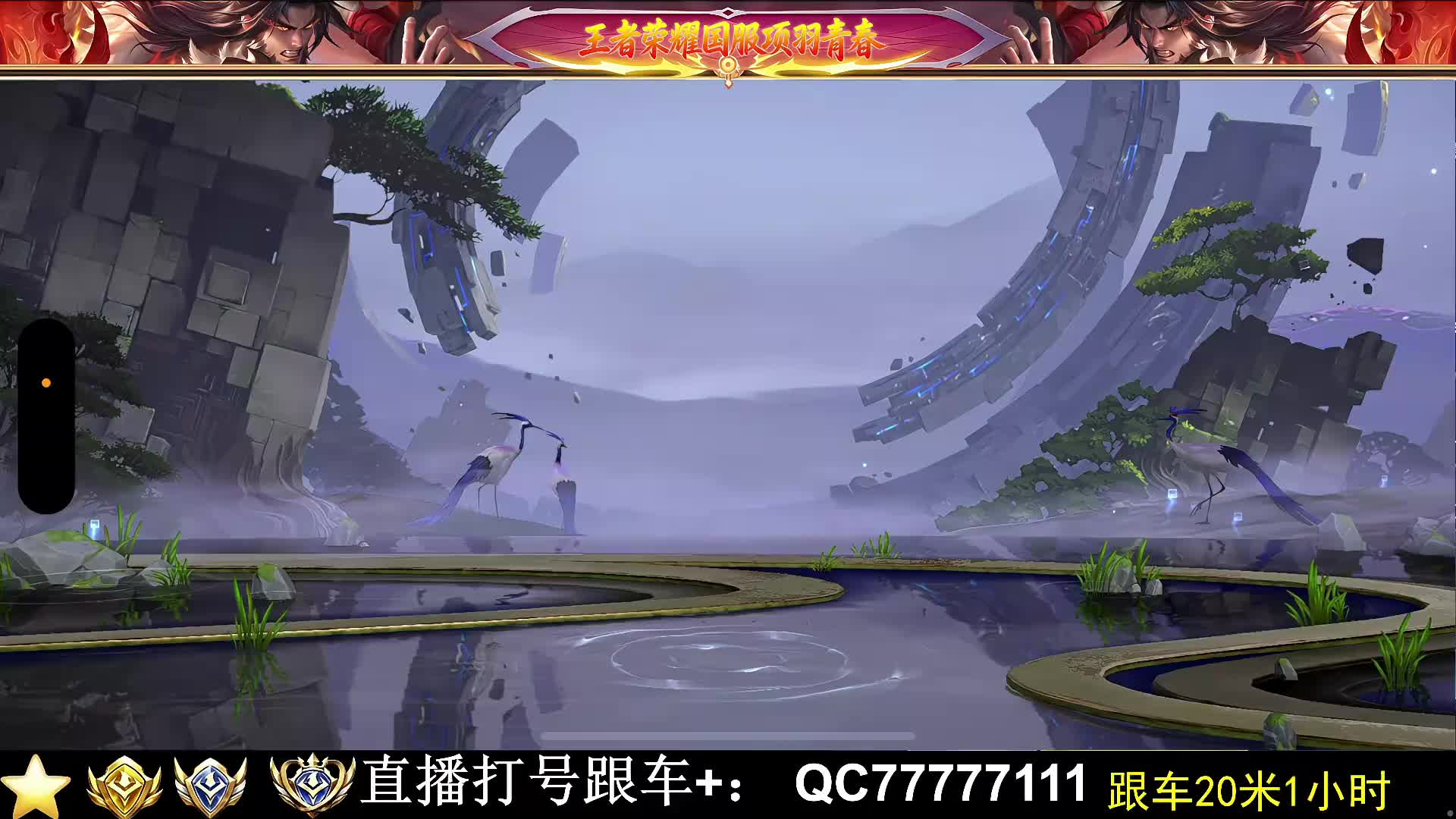 38岁新人主播冲项羽元坦标！