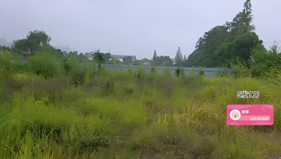 長沙 新基地