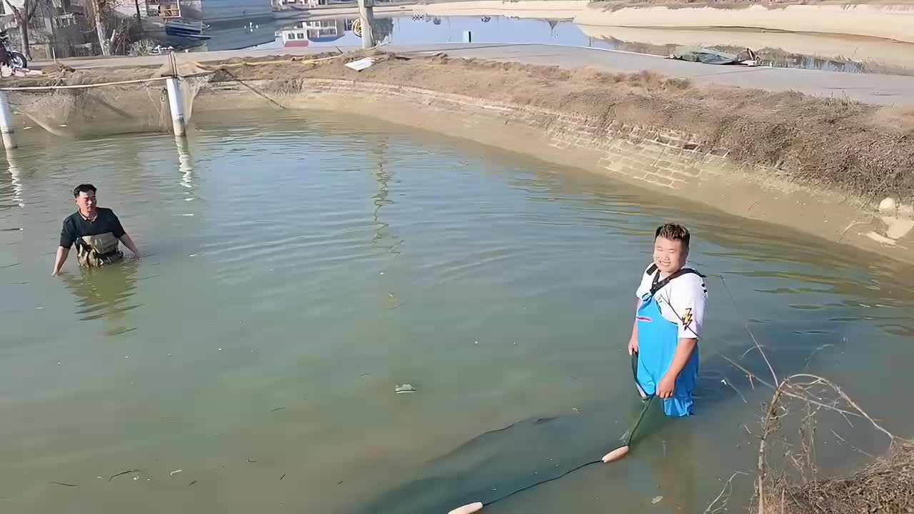 鱼塘干百斤巨型鱼王