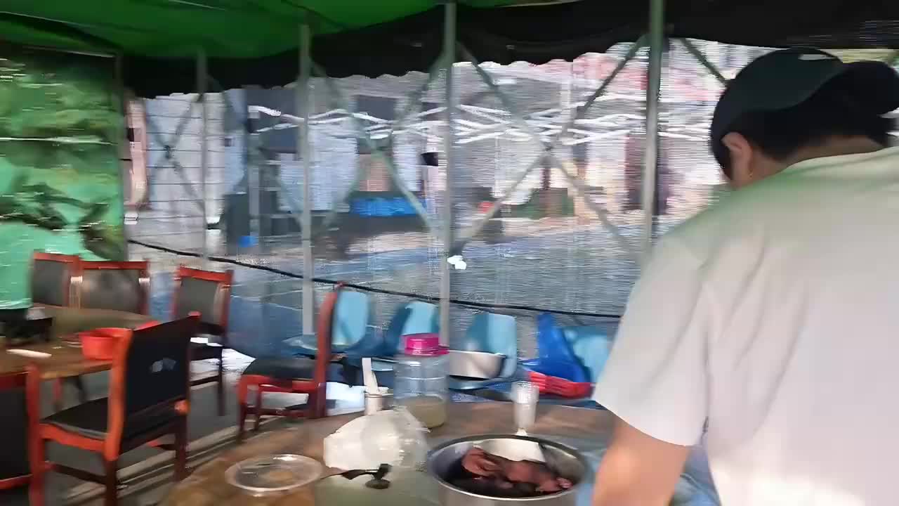 鱼塘干百斤巨型鱼王