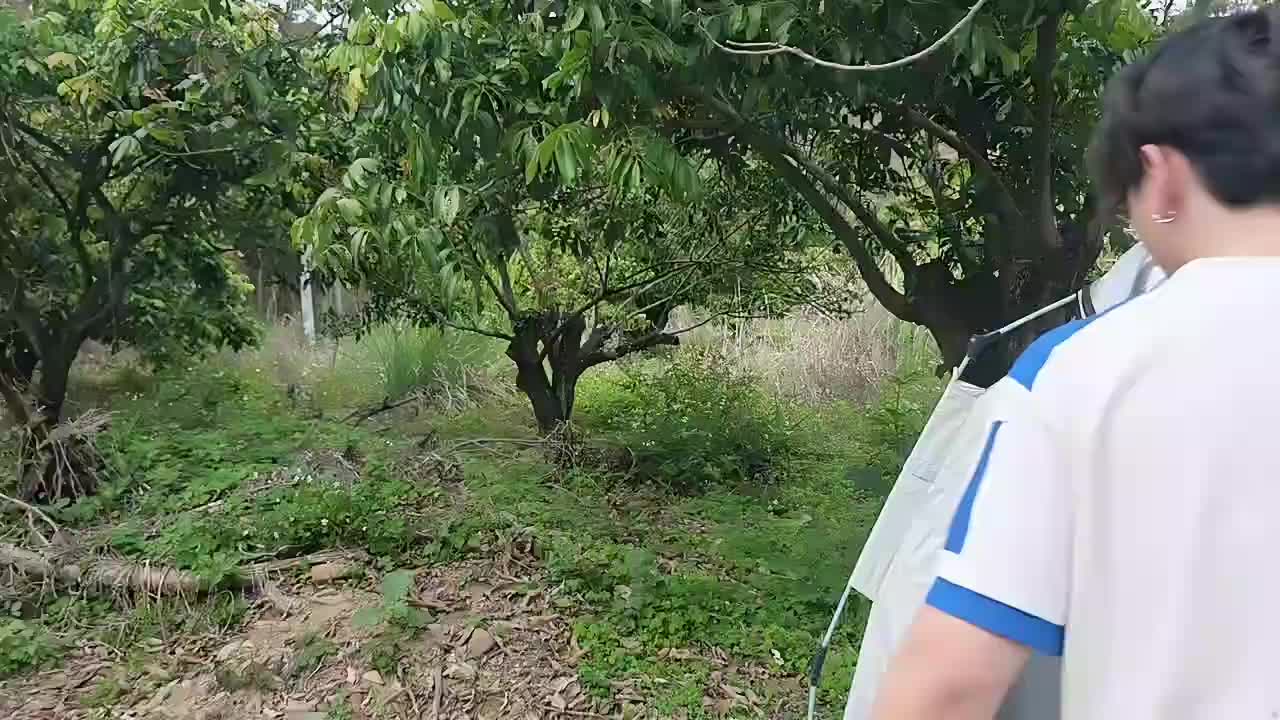 广州大型节目（苦行僧第一季拉练）