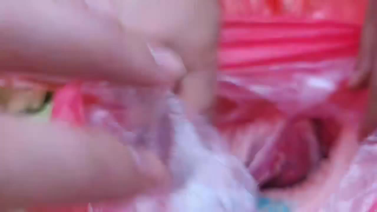 荒野第八季第一天