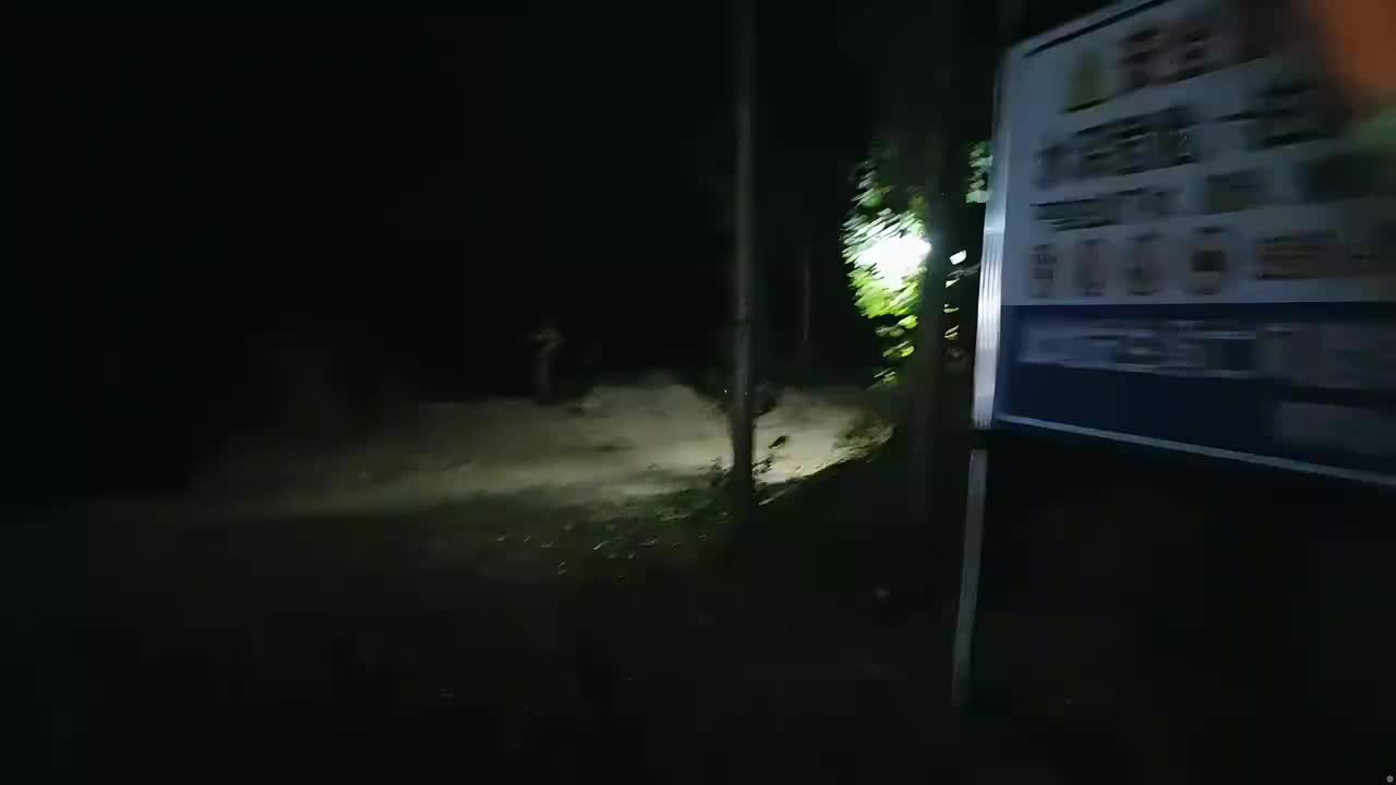 荒野第八季第一天