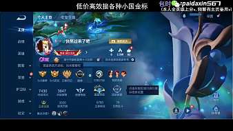 藍新-派大鑫【大坤】王者榮耀直播_藍新-派大鑫【大坤】視頻直播 - 虎牙直播