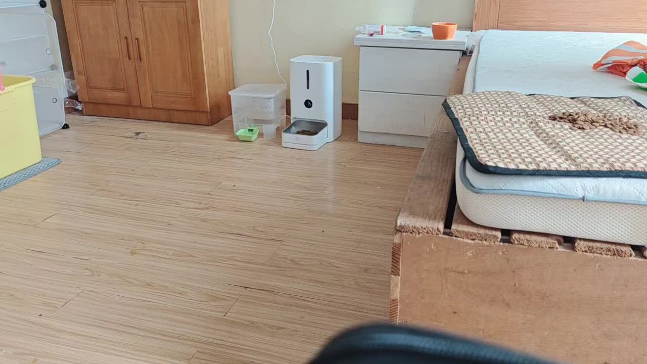 欢迎来到我的直播间