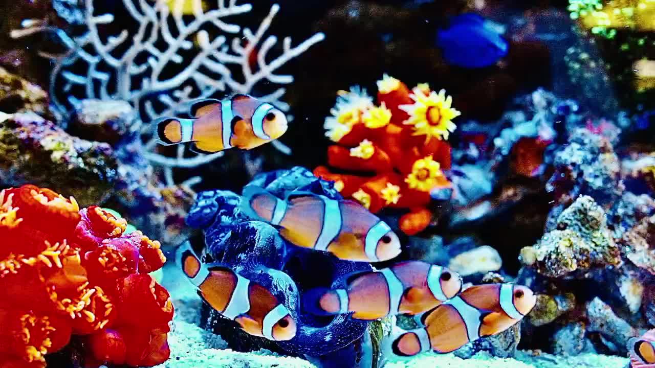 季节