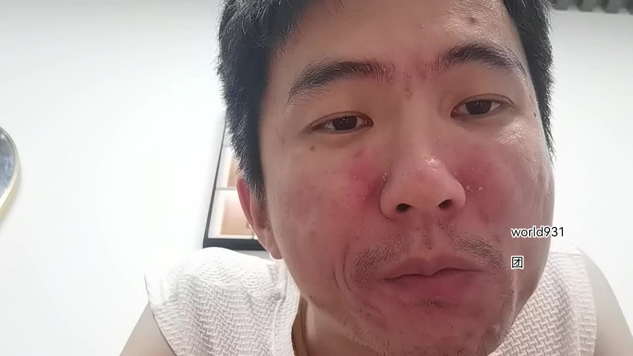 团饭！团猫粮