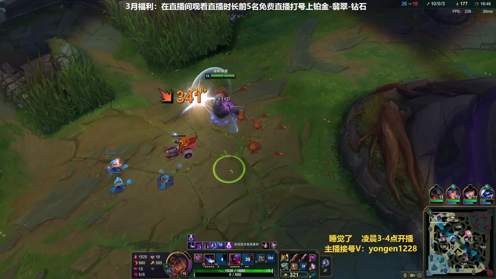 永恩电刑穿甲流最强打法