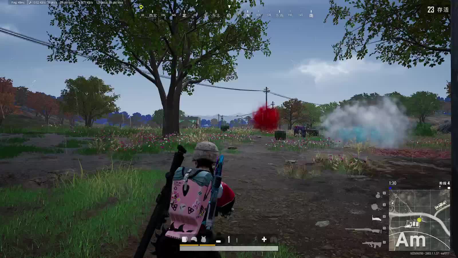 菜鸟吃鸡，实力是个迷