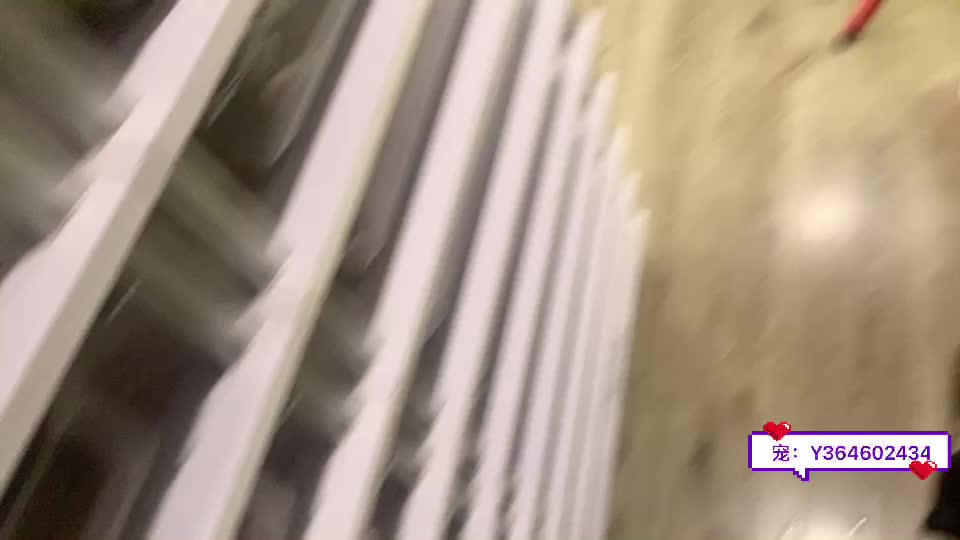 盘蛇教的日常！
