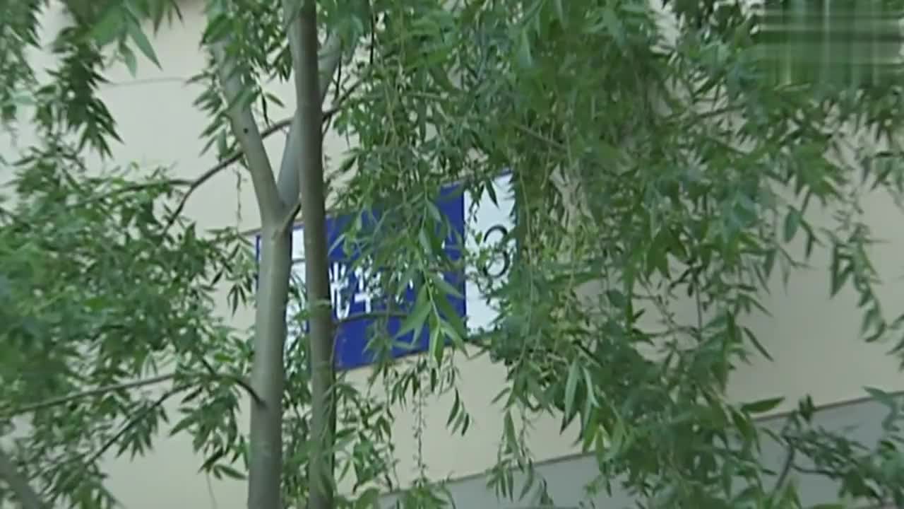 神剧征服 不气盛能叫年轻人吗 