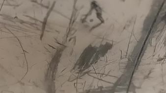 尚娛-修羅焚心顏值直播_尚娛-修羅焚心視頻直播 - 虎牙直播