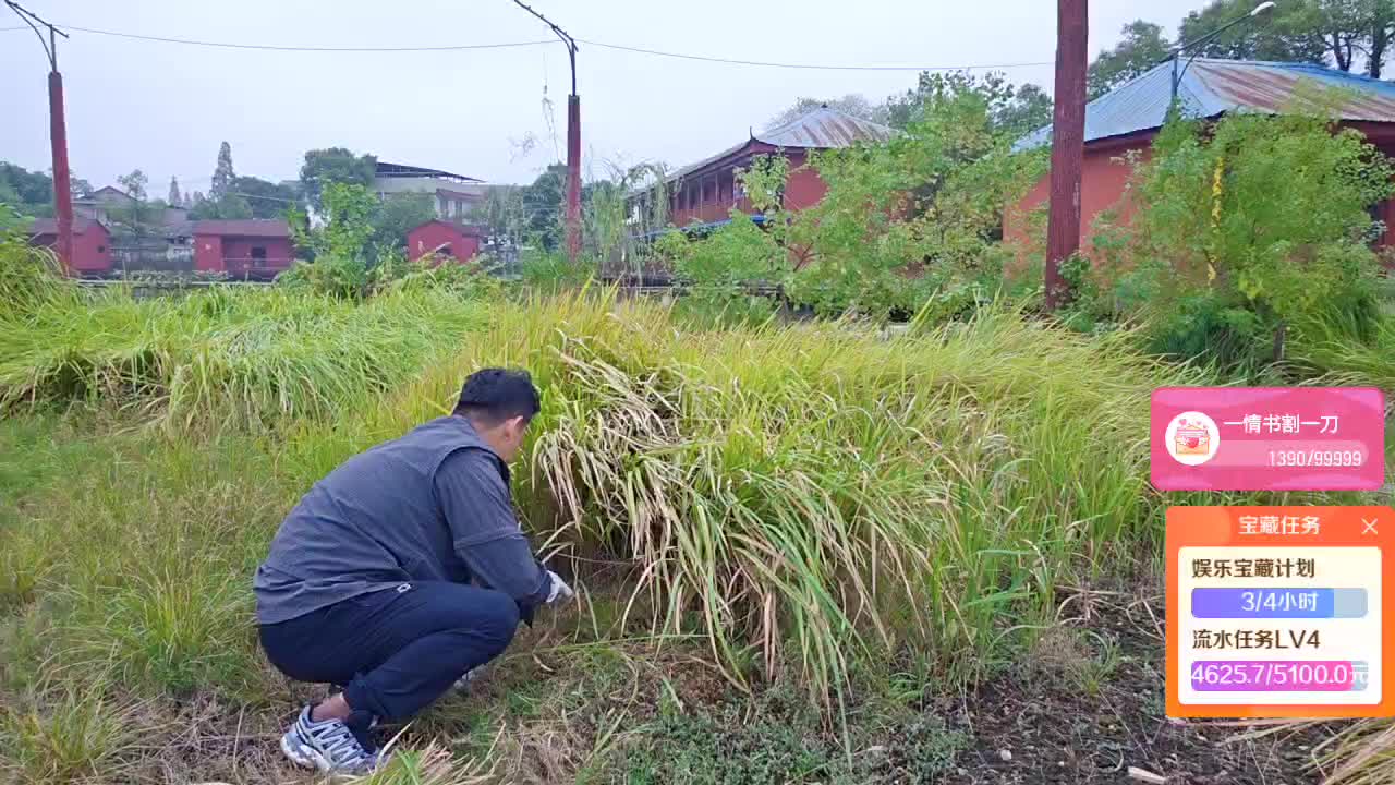割草