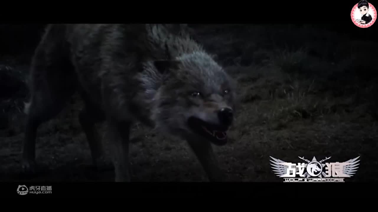 盘点战狼十大看点