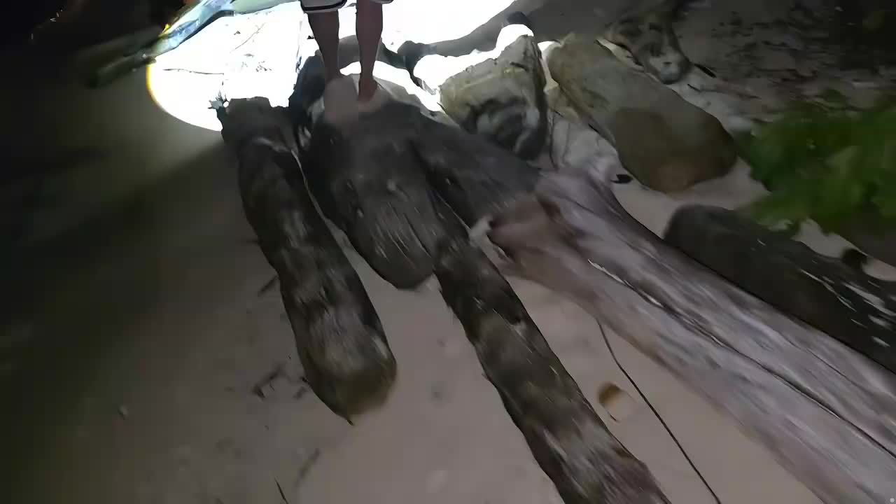 印泥 歷險記