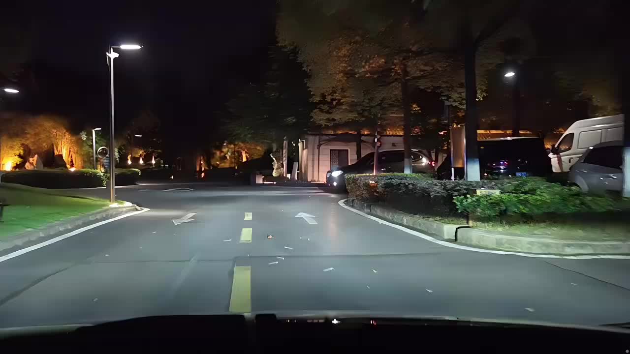 武汉，g哥，狮子哥，蓝莓哥，时哥