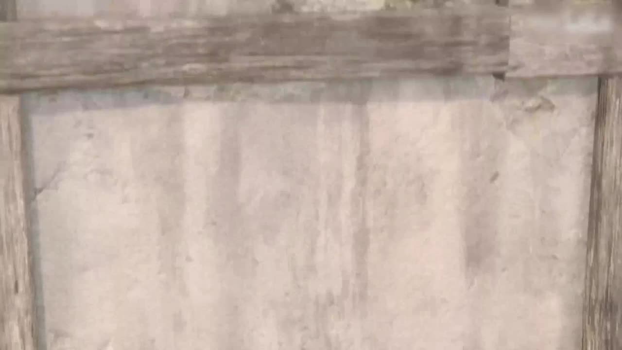 不要躲在角落偷偷看 里面有位子