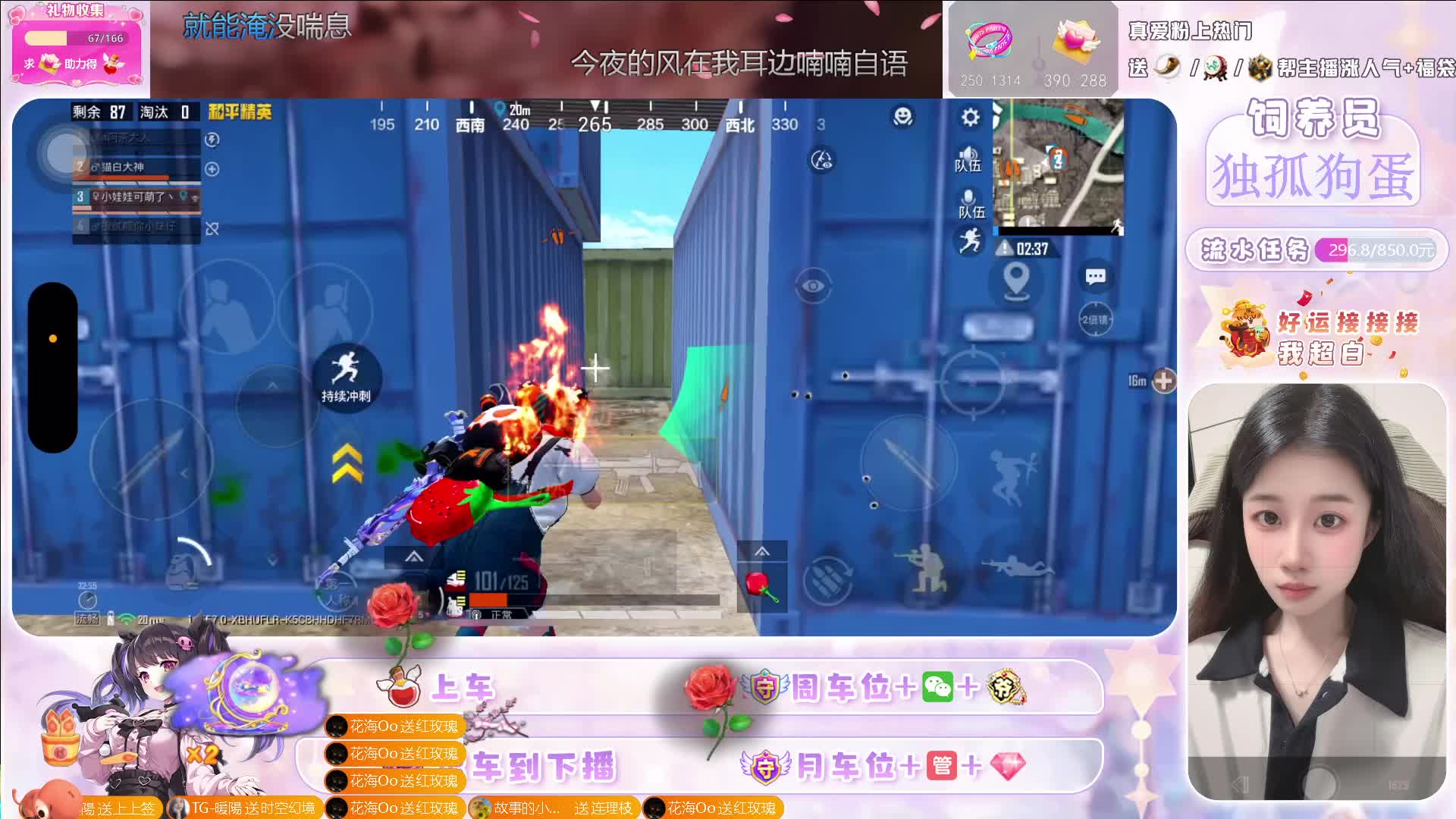 经典海岛 佛系钢枪（抬头见喜 低头拾欢）