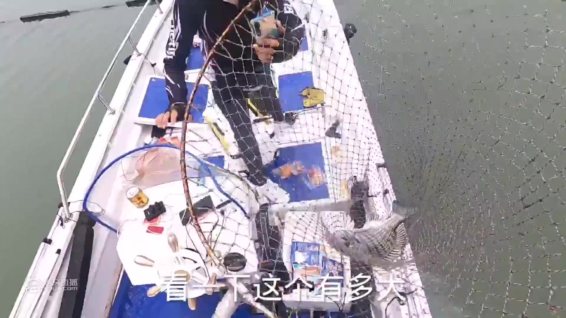 专程请来广东钓鱼师傅，学习新钓法，小伙走上发财之路