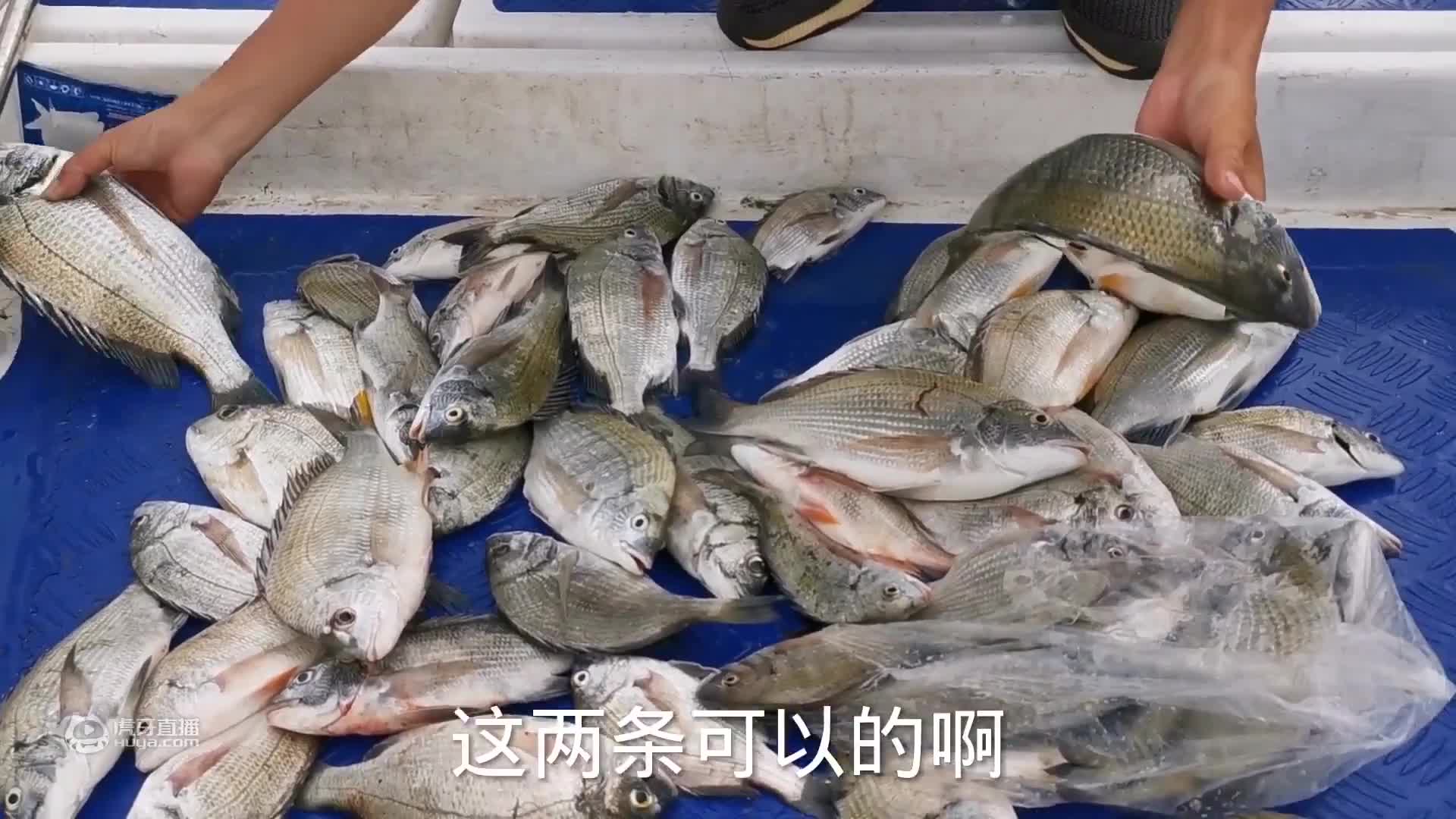 专程请来广东钓鱼师傅，学习新钓法，小伙走上发财之路