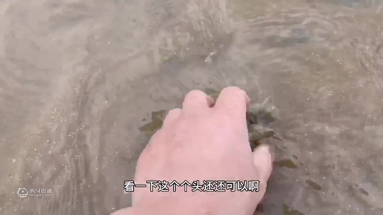 深夜在空无一人的海边赶海，海边捡到手发软