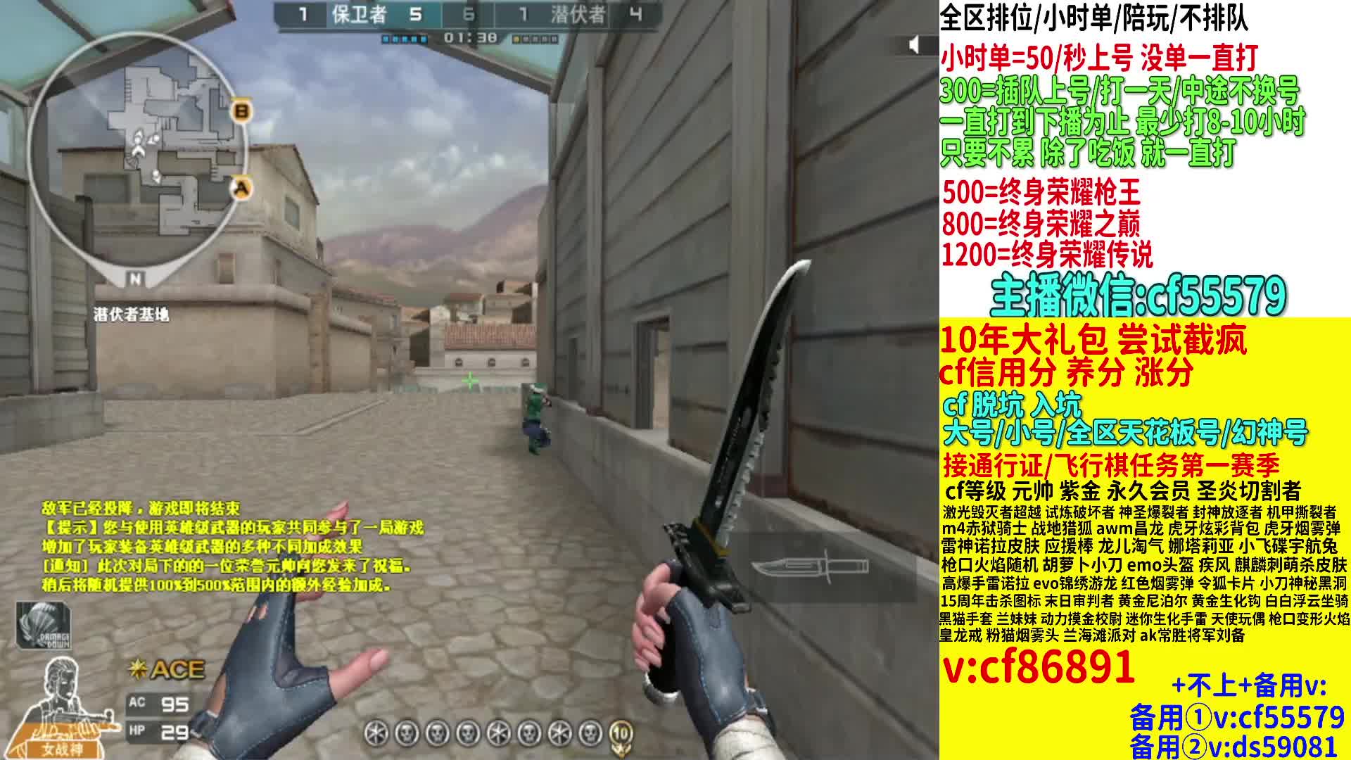 专业10年/免费打排位