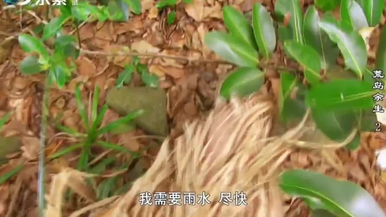 德爷荒野求生解说