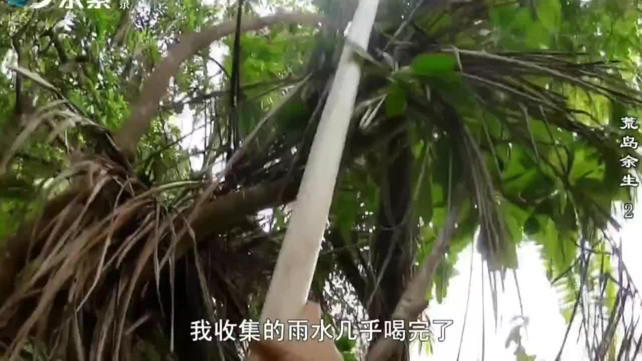 德爷荒野求生解说