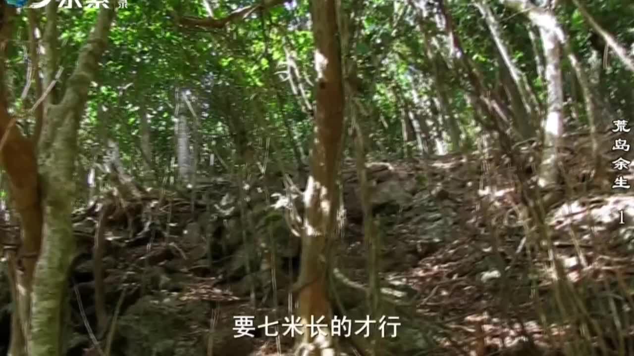 德爷荒野求生解说