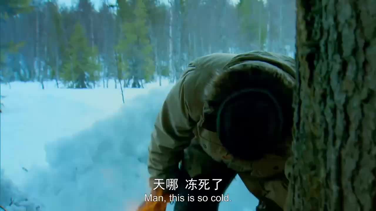 [荒野求生]