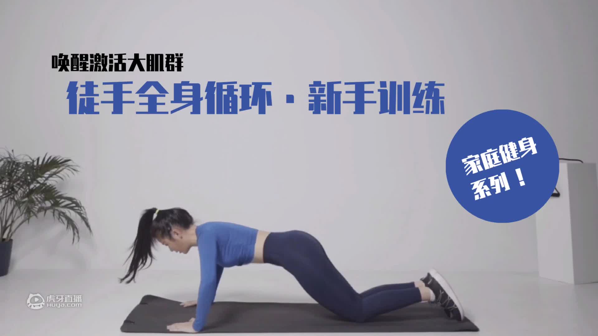 家庭健身·新手版全身循环训练