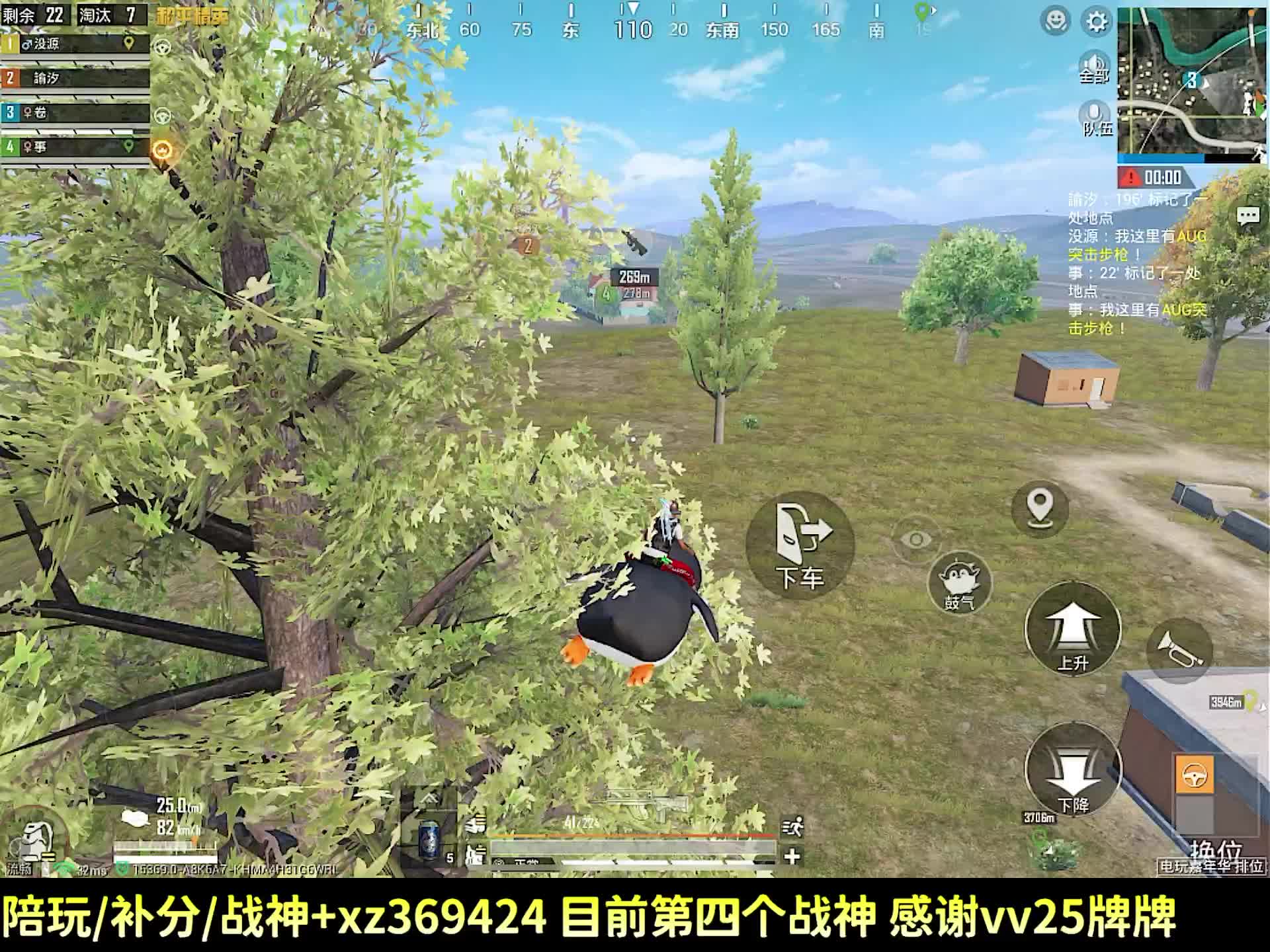当会陪陪