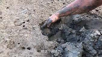 興哥趕?！緫敉狻繎敉庵辈興哥趕?！緫敉狻恳曨l直播 - 虎牙直播