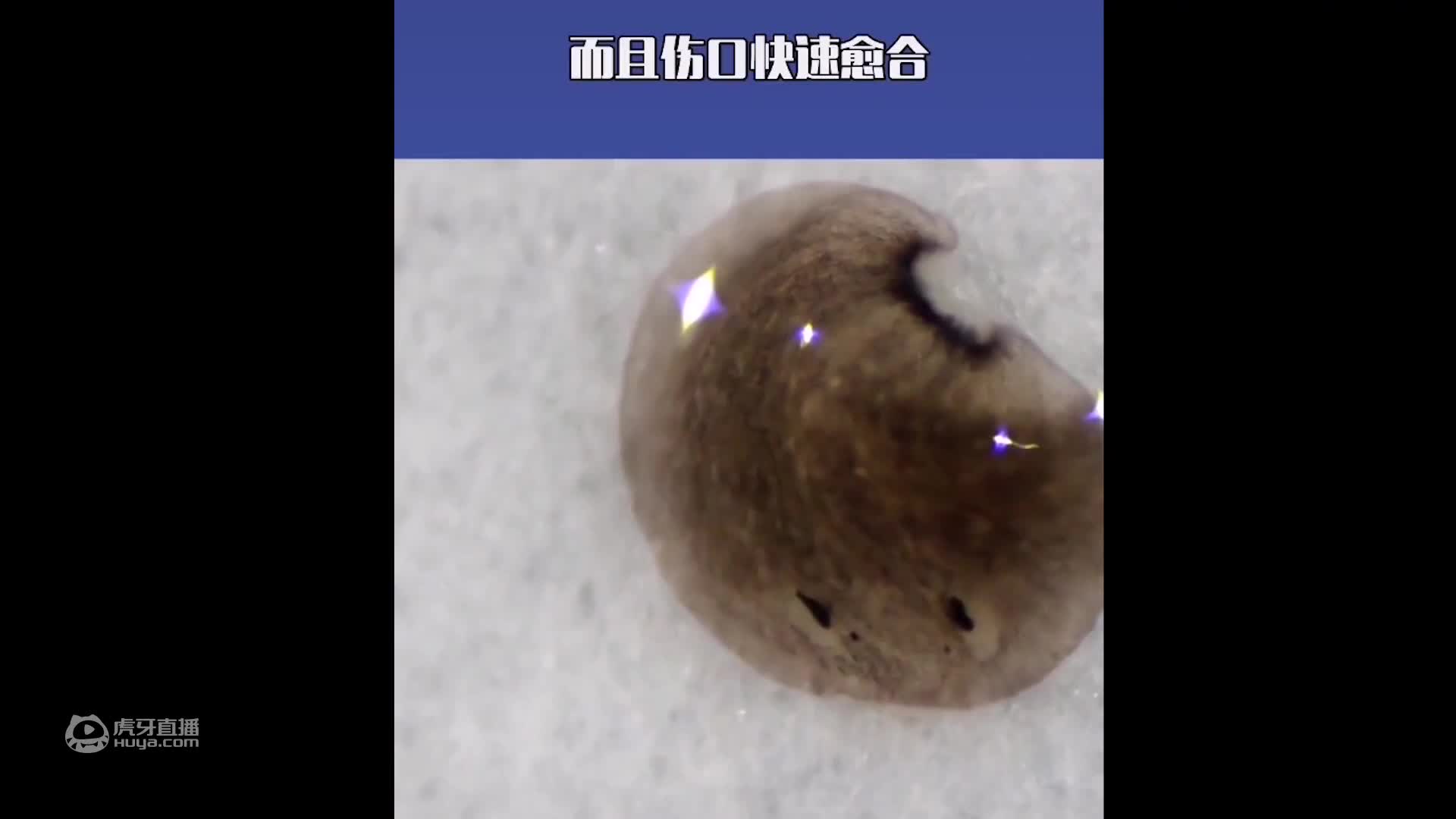1000块挑战超市所有种类泡面，旁边人像看傻子一样看我