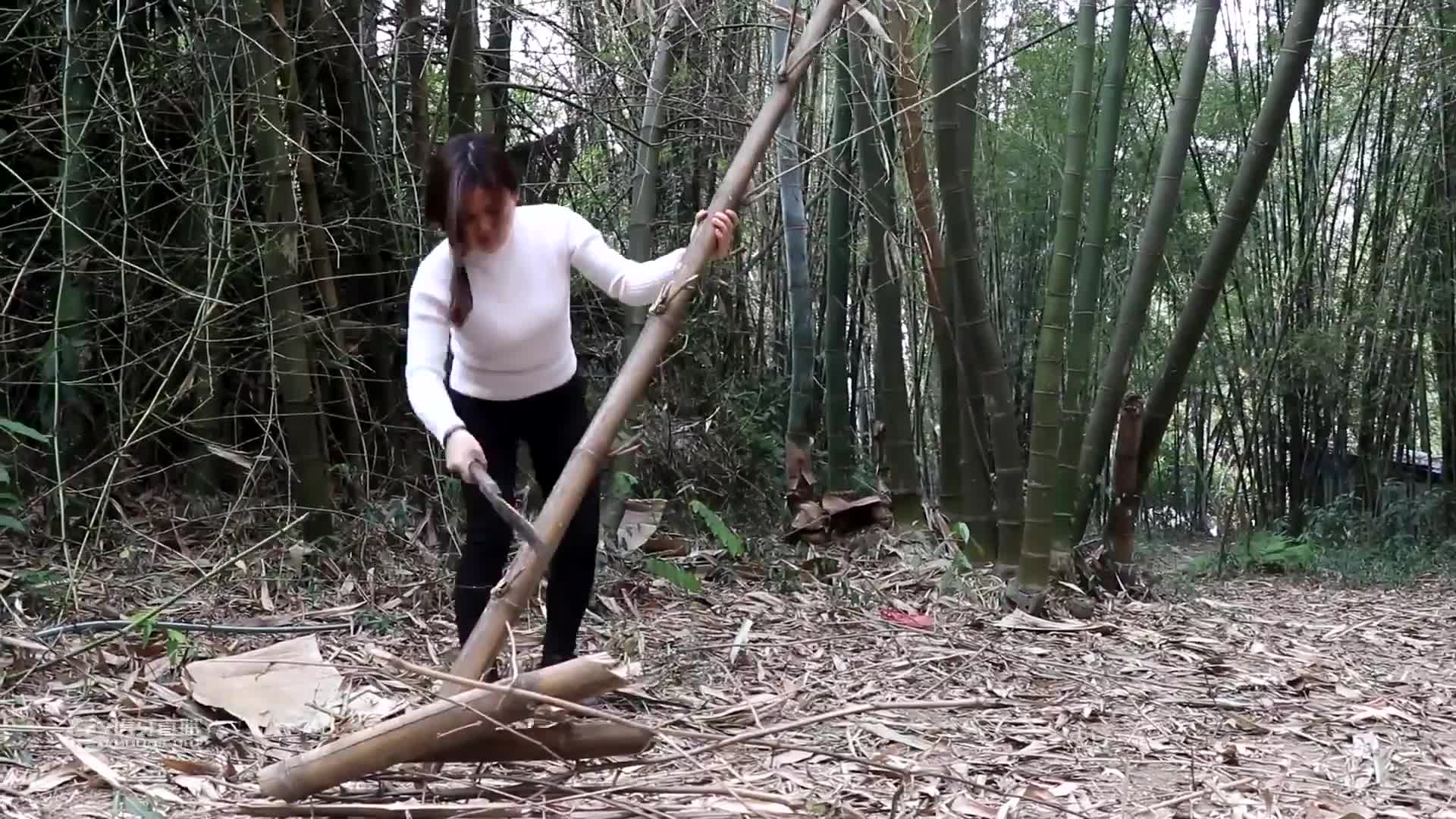 表妹做的辣椒炒牛肉可好吃了，你喜欢表妹还是喜欢吃她做的菜