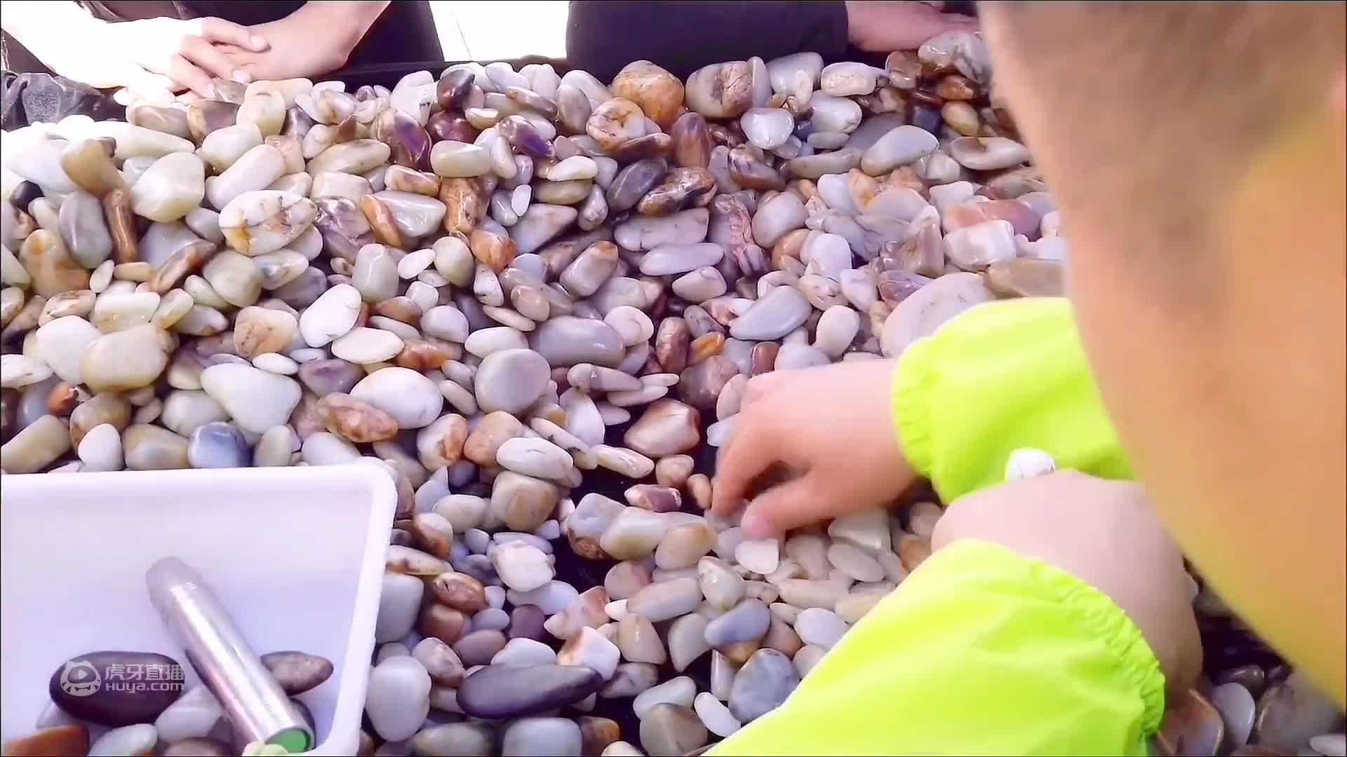 盘锦河蟹黄满膏肥，小厨娘买了2斤回宾馆，看看她到底能不能吃完