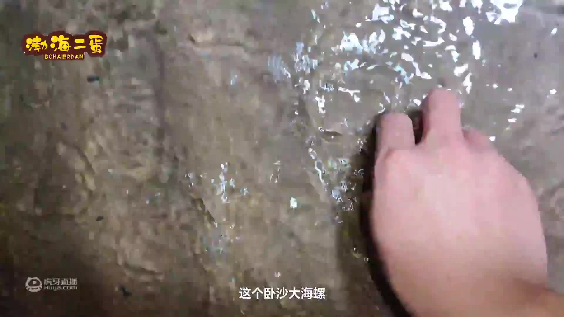 大风天赶海，小伙儿捡宝石扒出琥珀，简直是走了狗屎运了