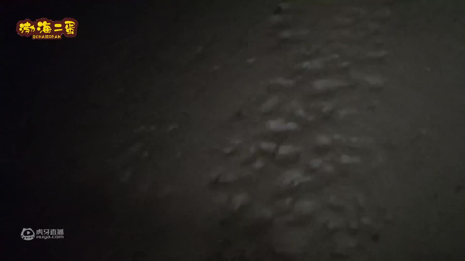 大风天赶海，小伙儿捡宝石扒出琥珀，简直是走了狗屎运了