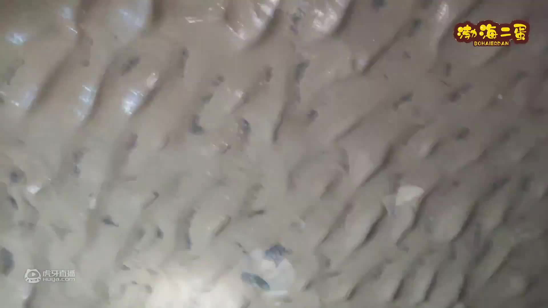 大风天赶海，小伙儿捡宝石扒出琥珀，简直是走了狗屎运了