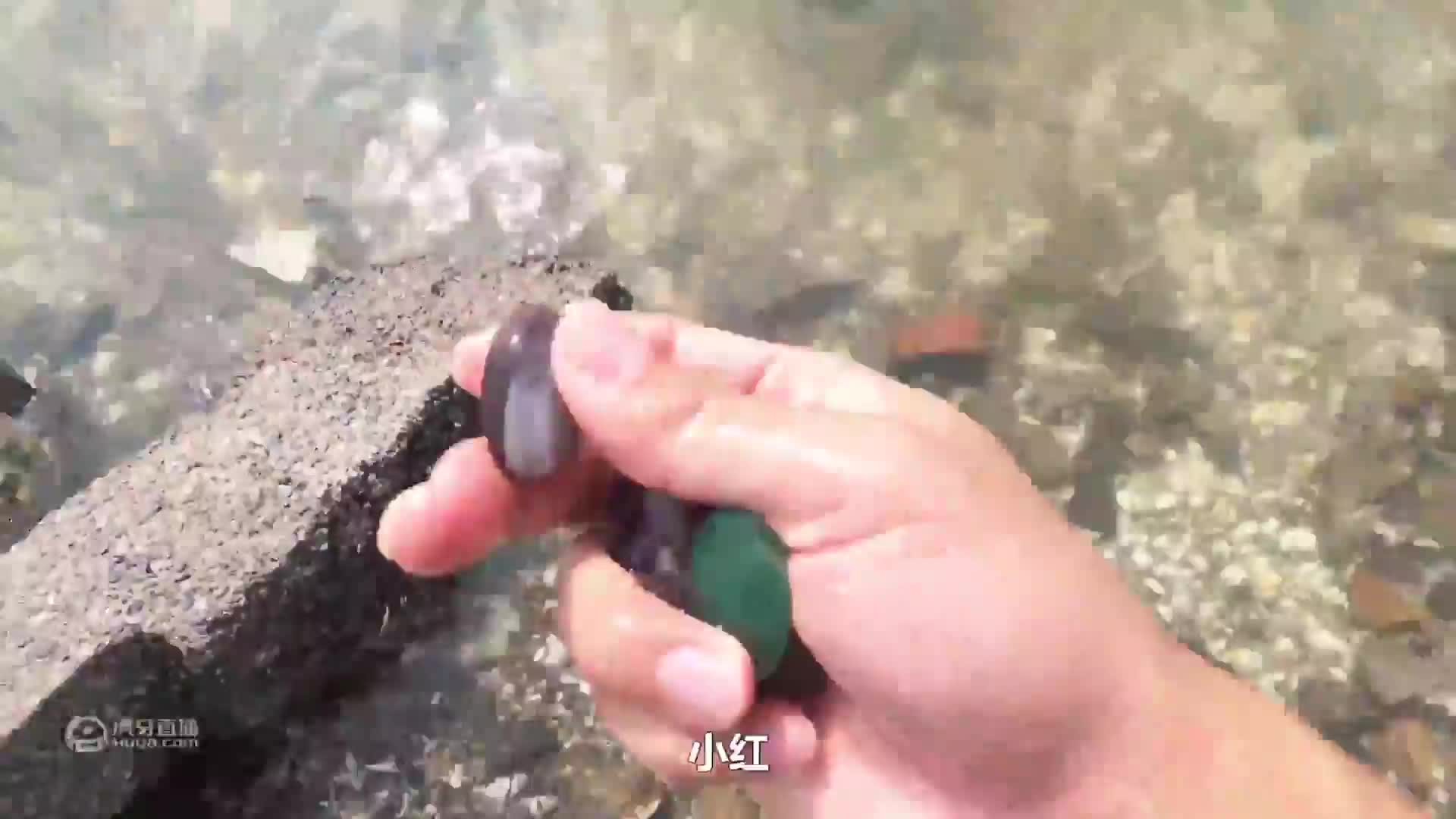 大风天赶海，小伙儿捡宝石扒出琥珀，简直是走了狗屎运了