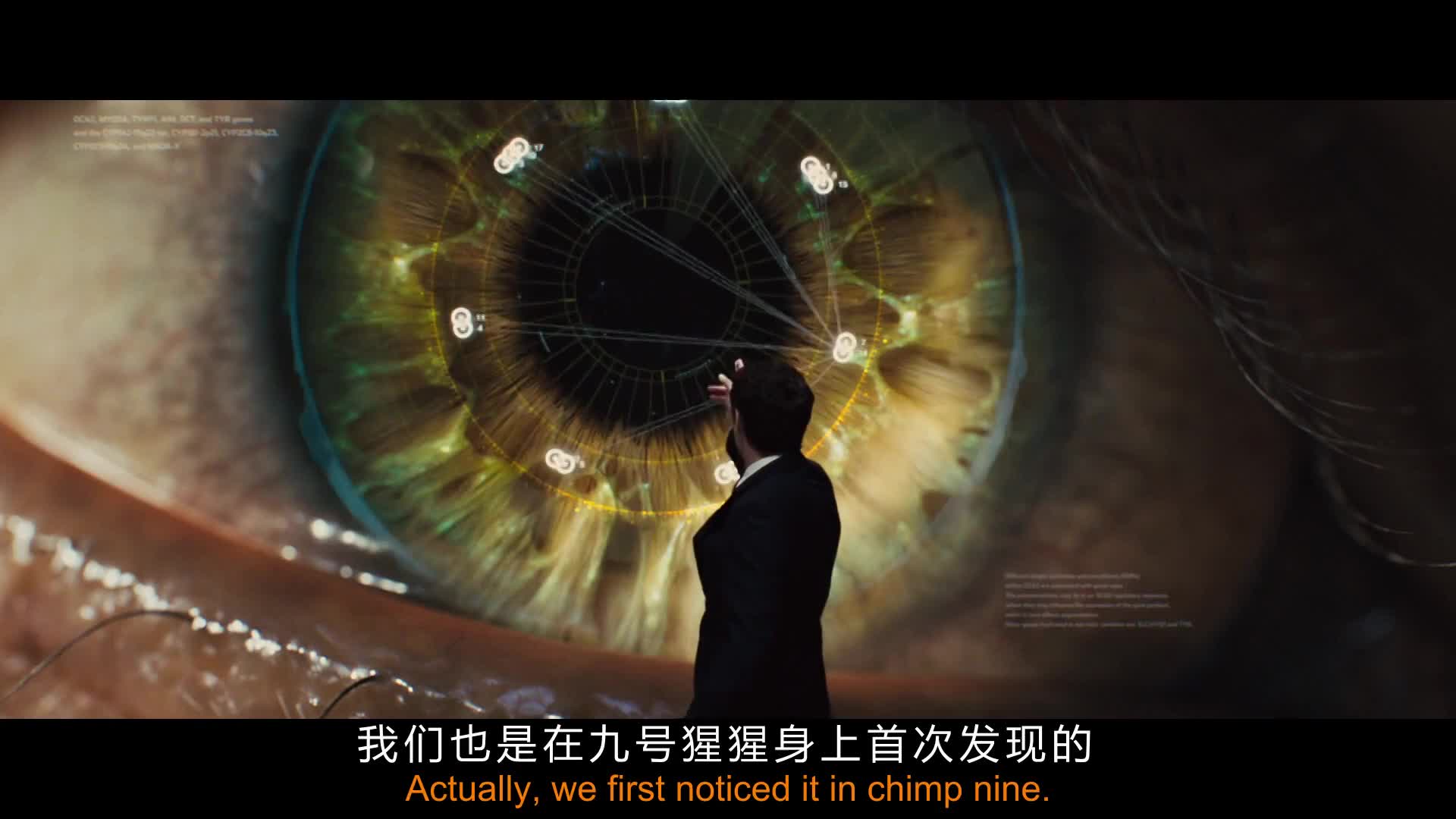 恺撒 金刚 哥斯拉大混战