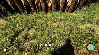 狂鳥丶楚河-90327的直播