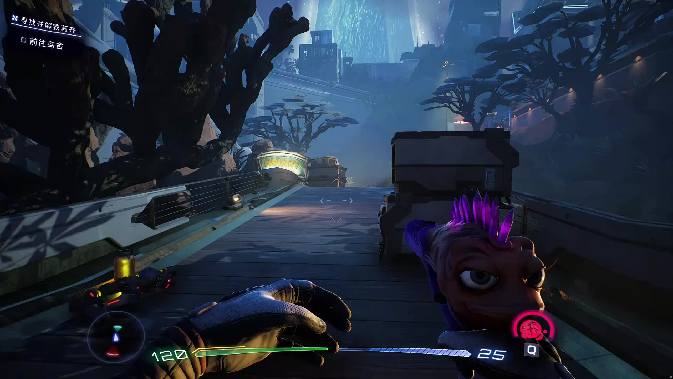 新主播，第一天直播很紧张!