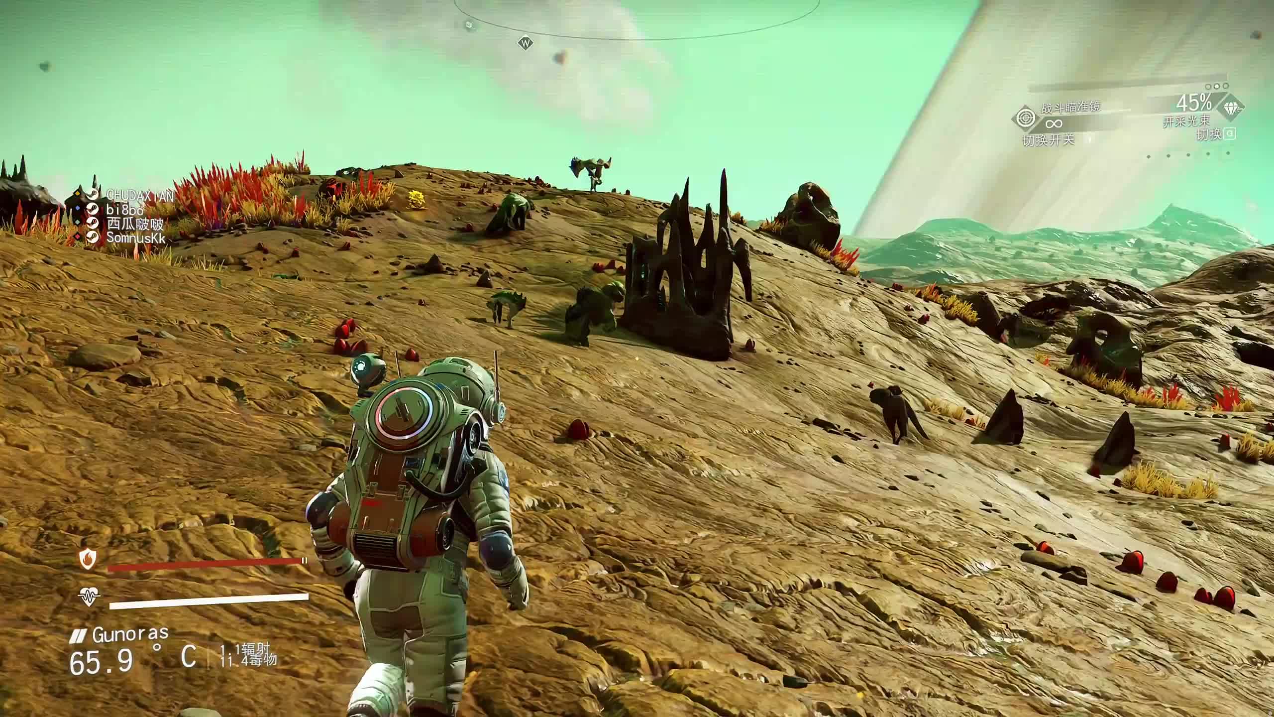 新主播，第一天直播有点紧张~